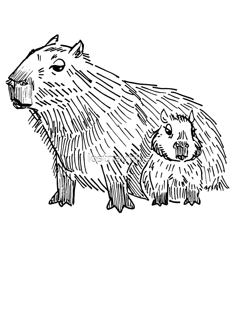 Capybara Mom And Baby Chilling Illustration