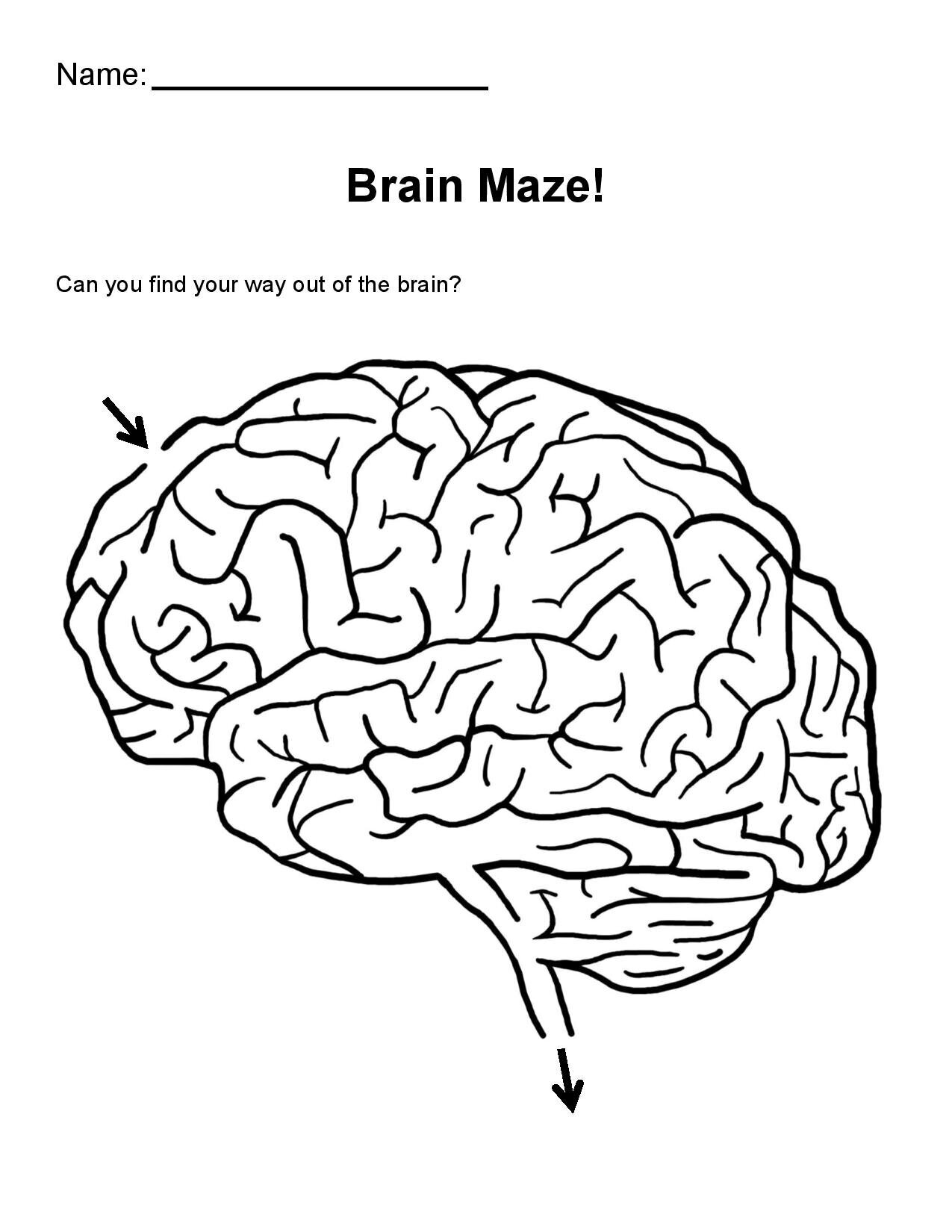 Neuro Coloring Pages Answers — GLIA