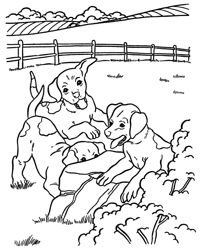 Of Dogs - Coloring Pages for Kids and for Adults