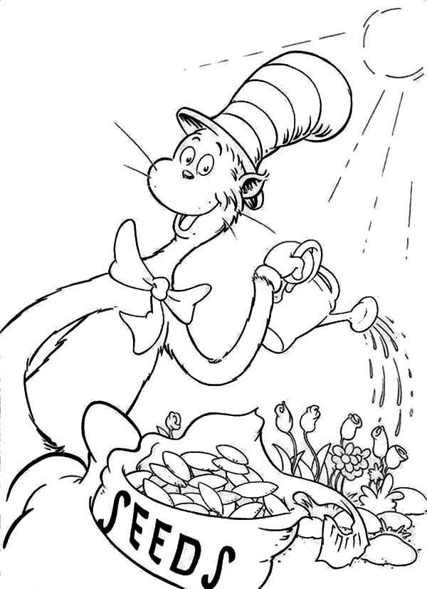 Dr Seuss the Cat in the Hat Coloring Page | Color Luna
