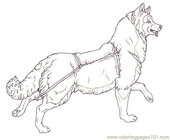 Mural Tsb Sled Dog Running Head Up Coloring Page - Free Dog Coloring Pages  : ColoringPages101.com