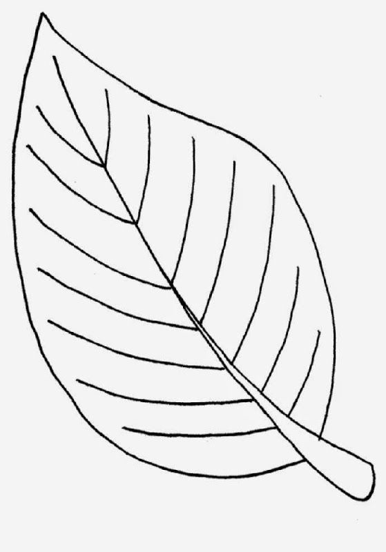 Leaf Coloring Pages | Free Coloring Pages | Leaf coloring page, Printable  leaves, Leaf coloring