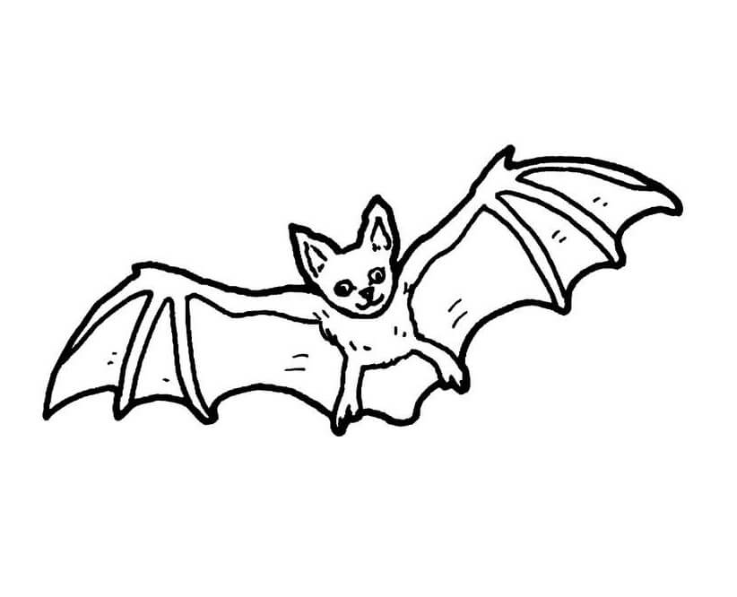 Cute Bat Coloring Page - Free Printable Coloring Pages for Kids