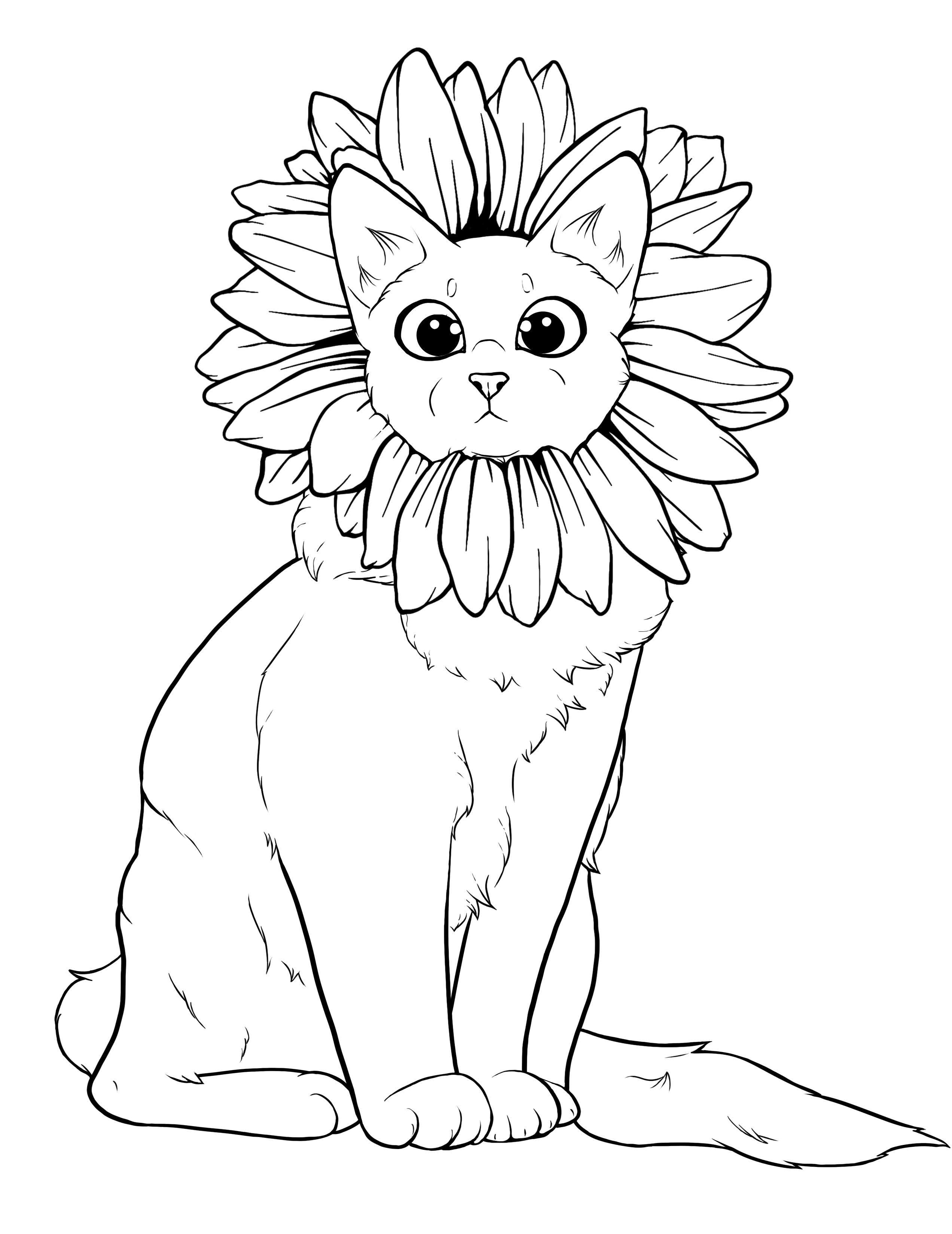 Cats and Plants coloring book ...