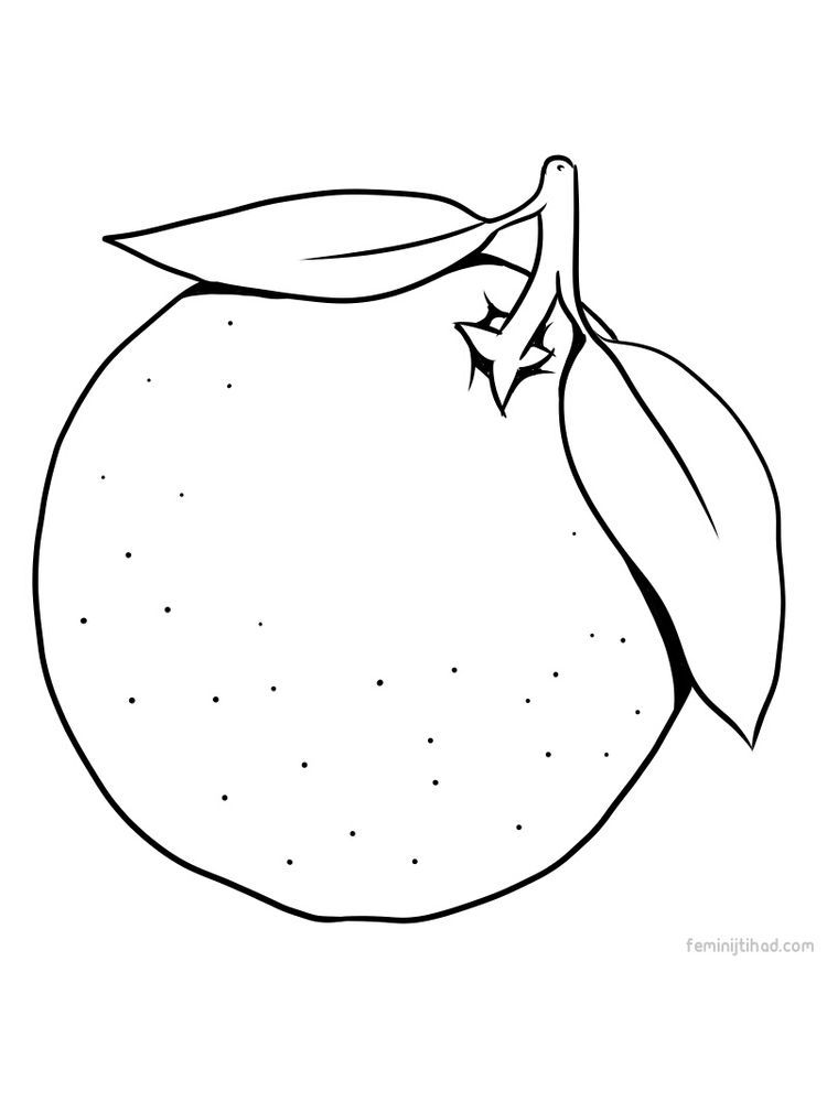 new orange page printables. Orange is one of the most popular fruits in the  world. Oranges can almost … | Fruit coloring pages, Coloring pages, Hello  kitty coloring