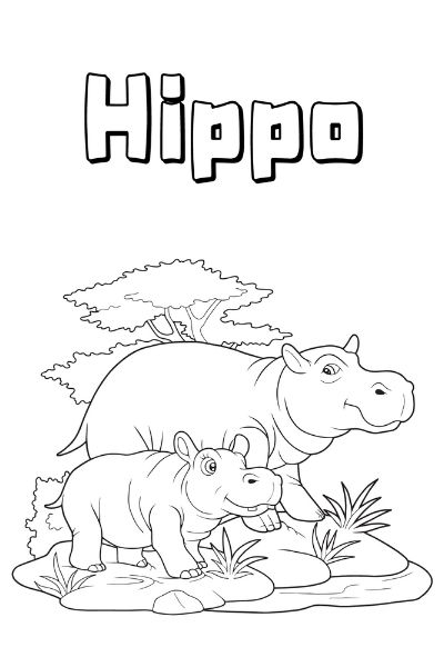 Zoo Animal Coloring Pages for Kids