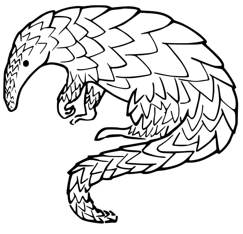 Printable Giant Pangolin Coloring Page - Free Printable Coloring Pages for  Kids