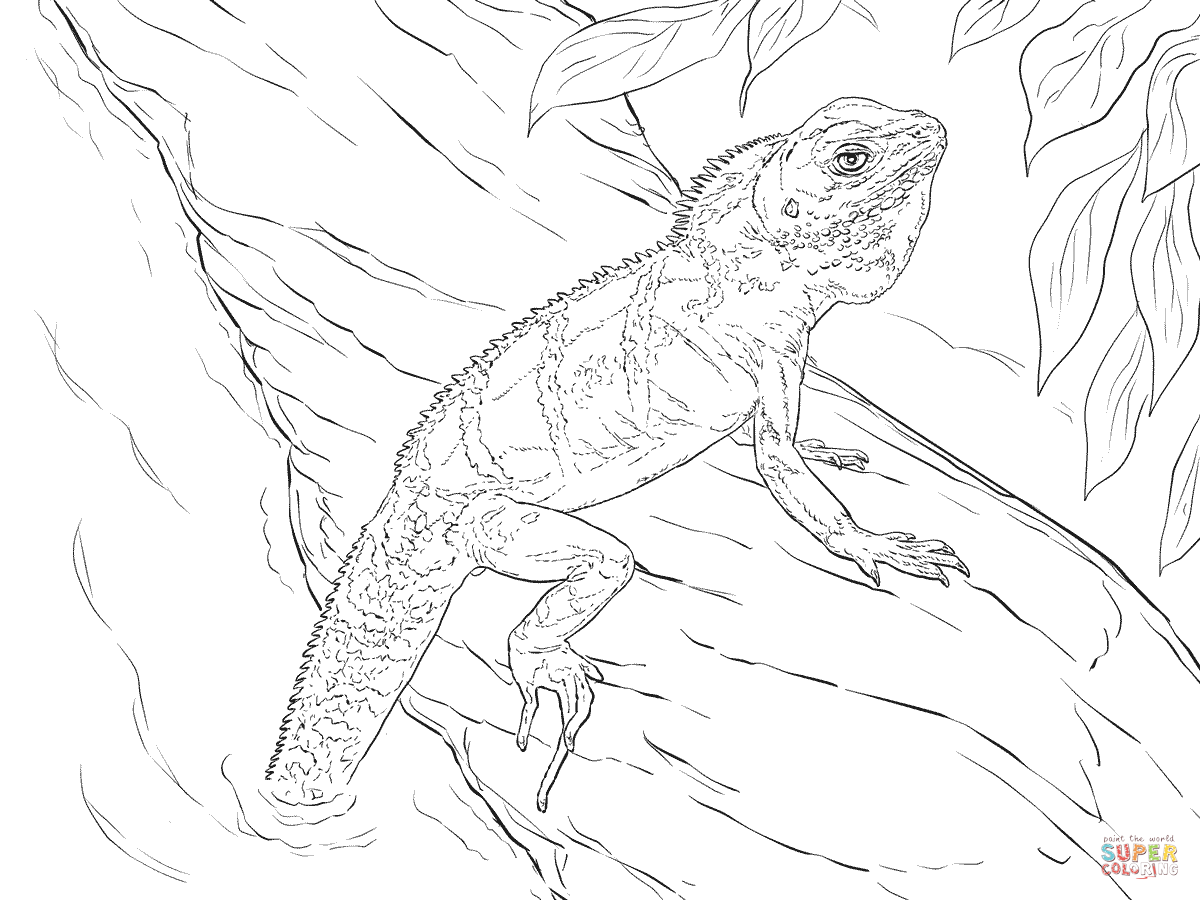 Realistic Chinese Water Dragon coloring page | Free Printable Coloring Pages