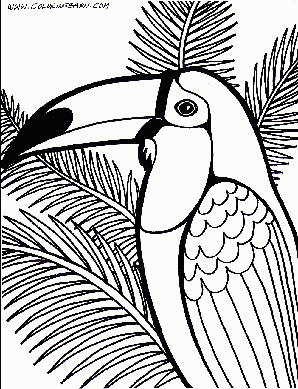 Toucan coloring page | Bird coloring pages, Jungle coloring pages ...