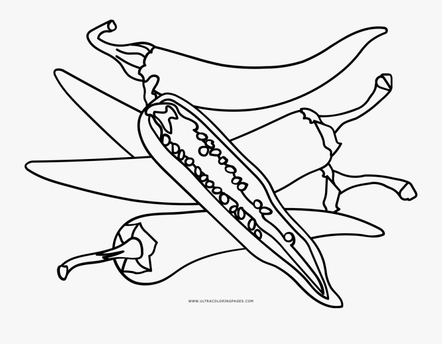 Chili Pepper Coloring Page - Line Art , Free Transparent Clipart -  ClipartKey