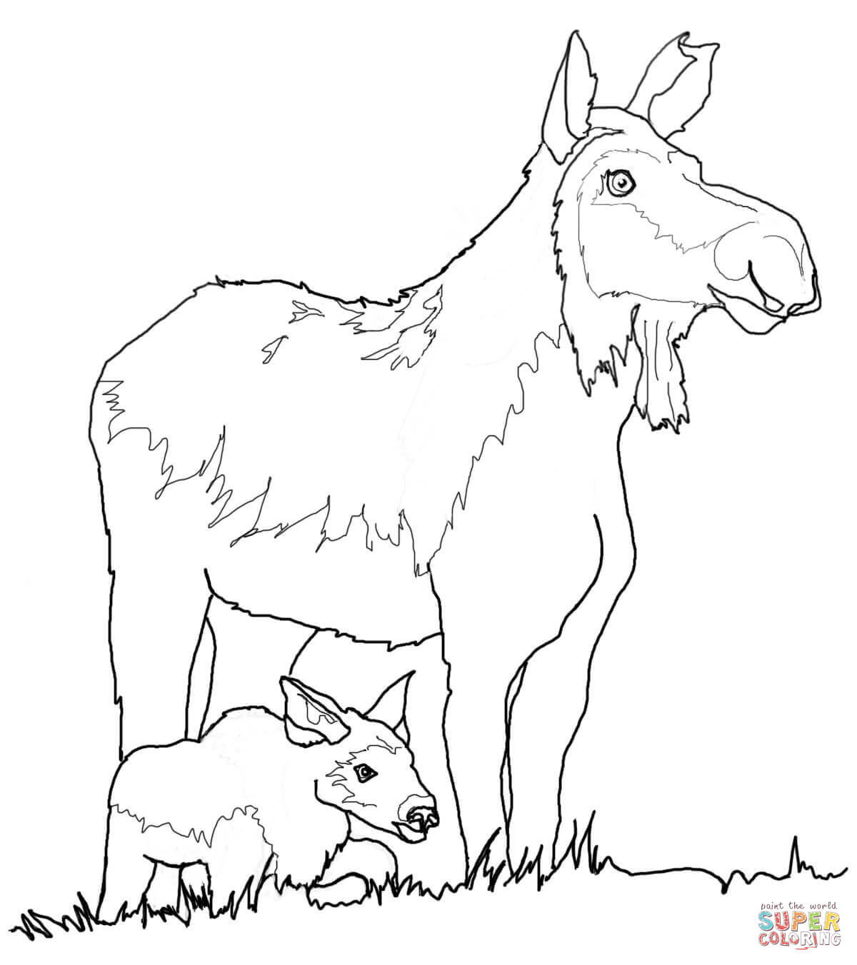 Moose coloring pages | Free Coloring Pages