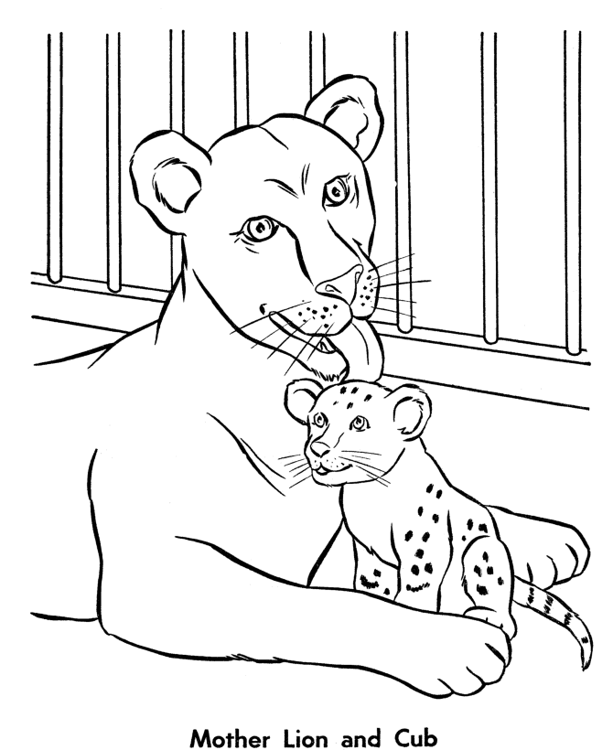 Zoo Animal Coloring Pages | Female Lion and her Cub Coloring Page 