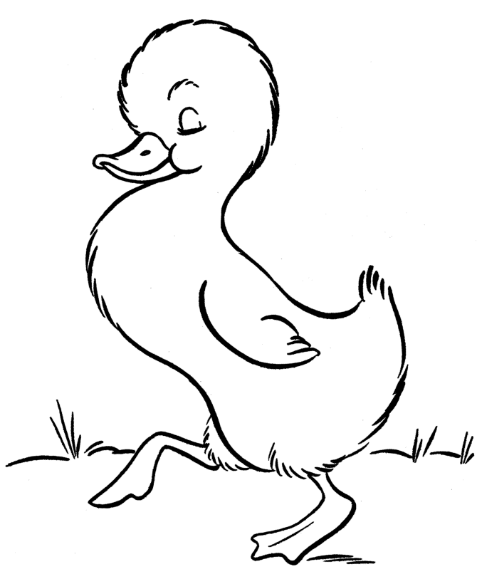 Farm Animal Coloring Pages | Printable baby duckling Coloring Page ...