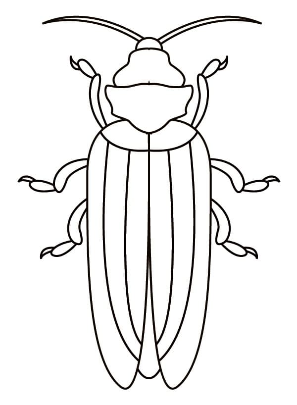 Free Beetle Coloring Page - Free Printable Coloring Pages for Kids