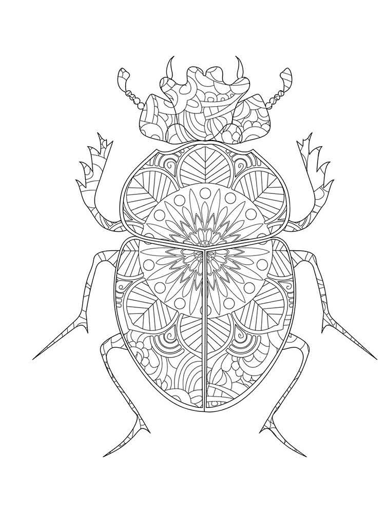 Zentangle Beetle coloring pages for Adults