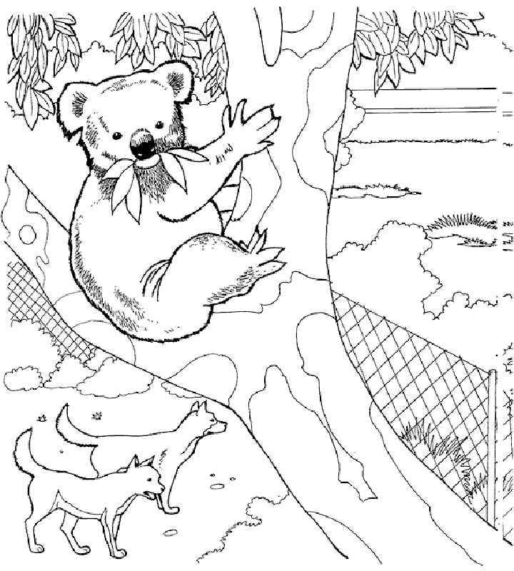 Colouring Pages for kids ...