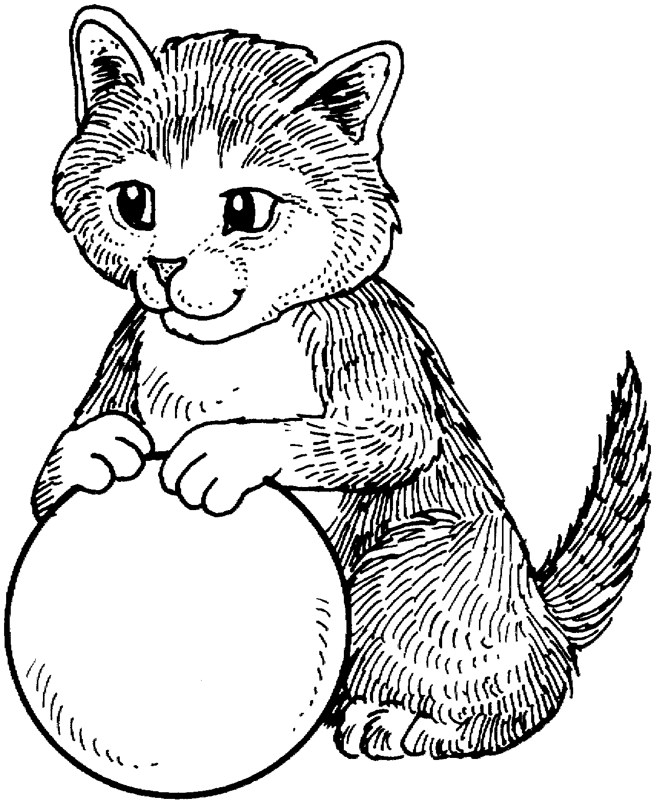 cat color pages printable | Wildcat Coloring Pages | cat,'s pic ...