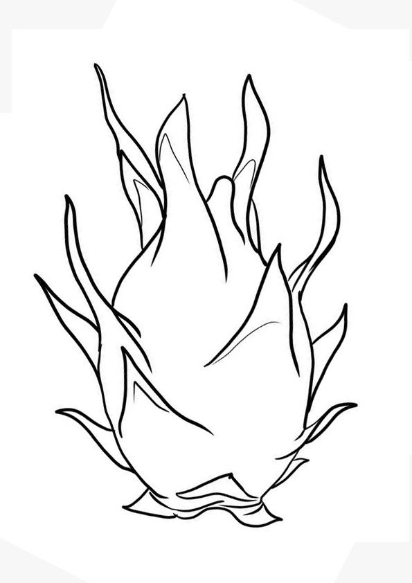 Printable Dragon Fruit Coloring Pages ...