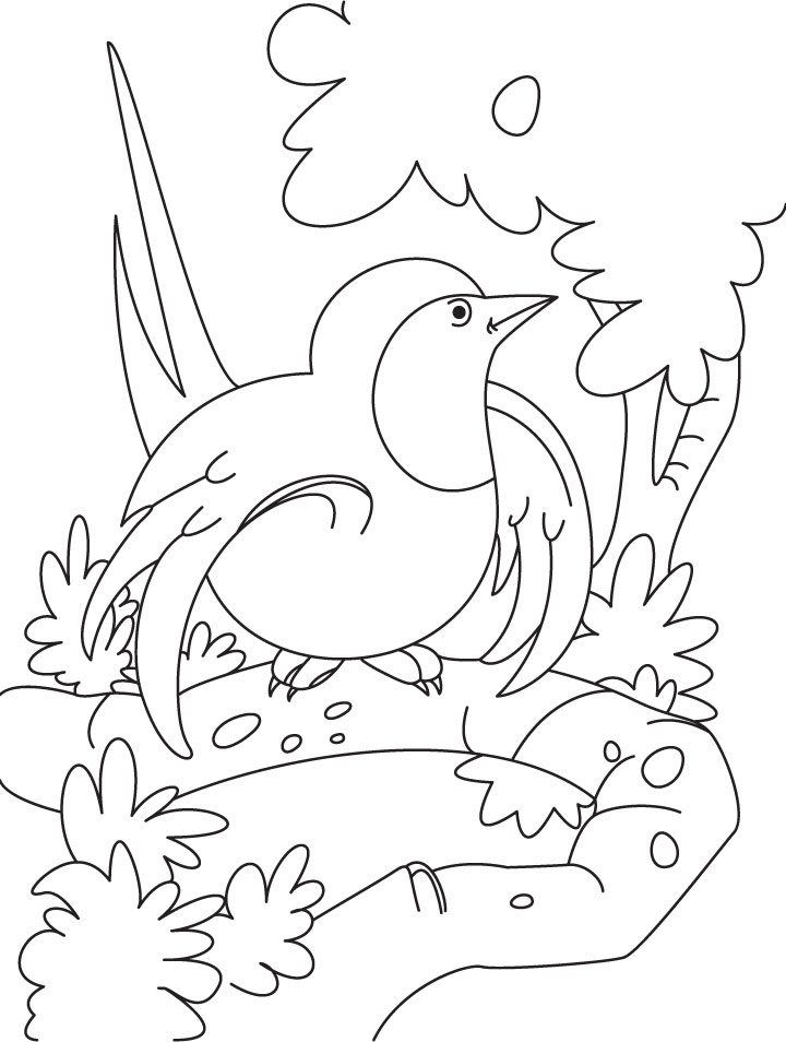 A curious swallow bird coloring page | Download Free A curious swallow bird coloring  page for kids | Best Coloring Pages