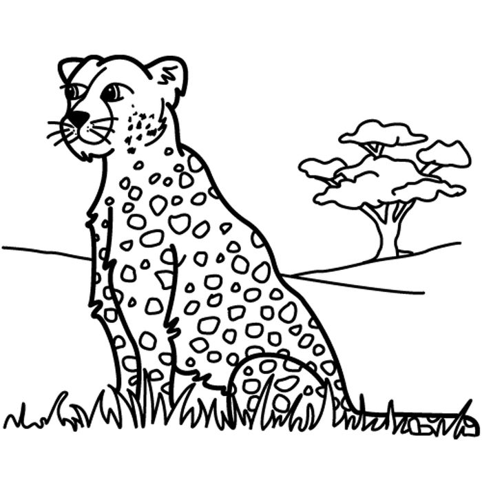 Leopard Coloring Pages Printable PDF - Coloringfolder.com