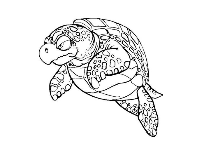 Turtles coloring pages - Coloring pages