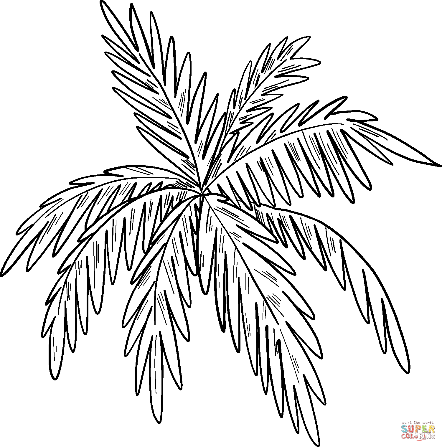 Palm Leaves coloring page | Free Printable Coloring Pages