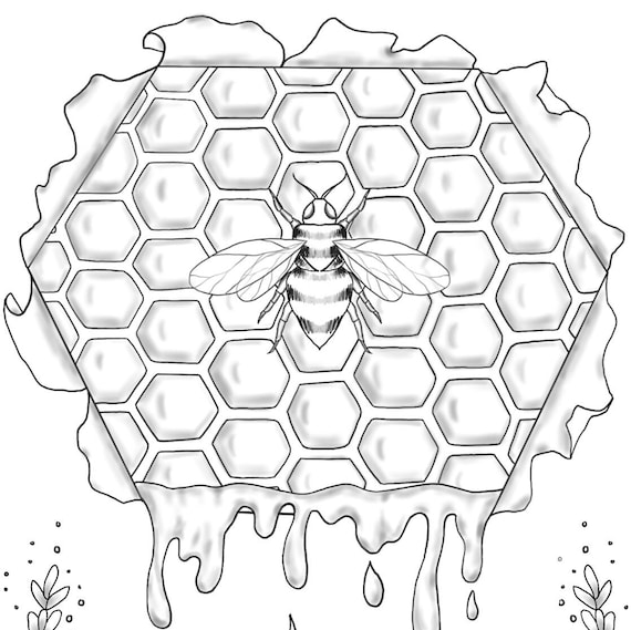 Bee Honeycomb and Flowers Coloring Page PDF Digital - Etsy
