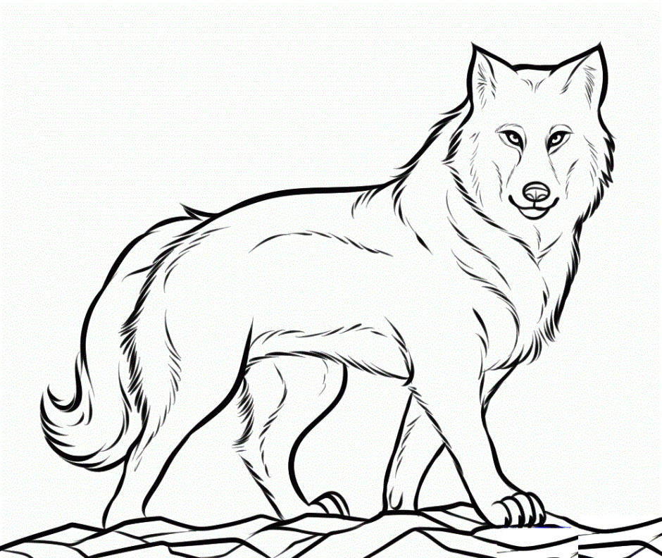 Wolf Coloring Book | Free Printable Wolf Coloring Pages