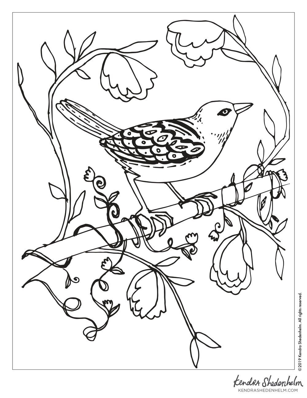 Bird on a Branch, Coloring Page — Kendra Shedenhelm