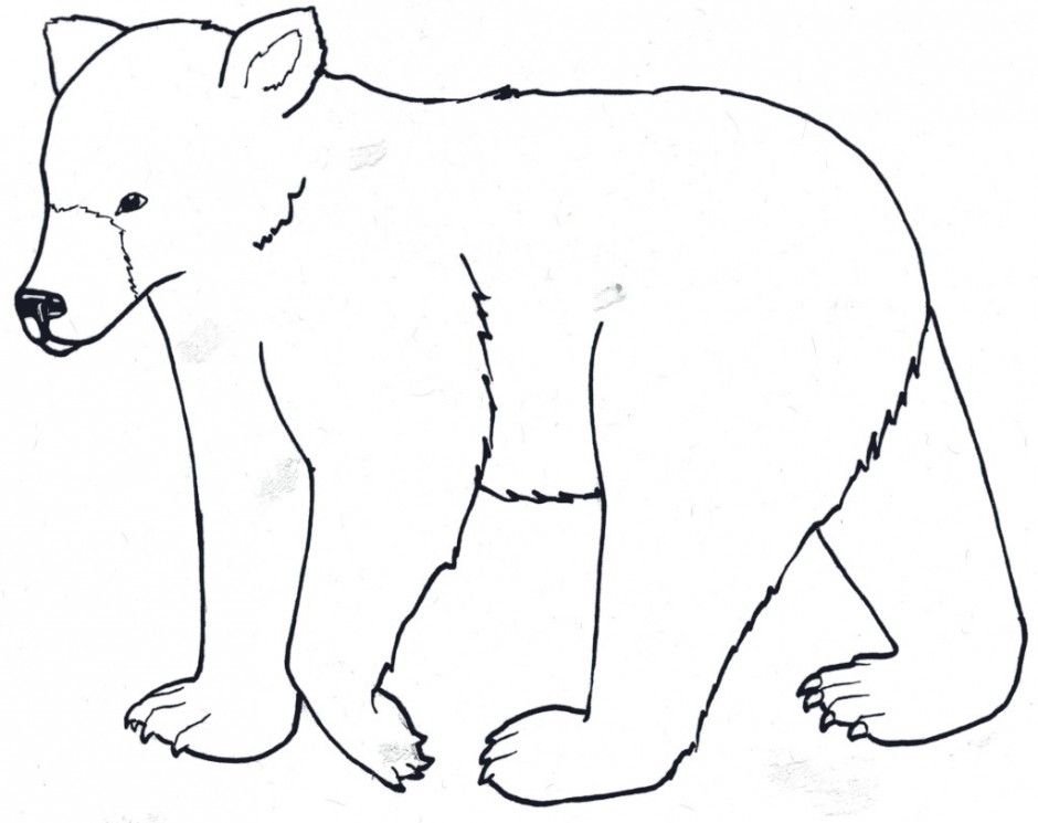 Animal Coloring Pages Zoo Animals Coloring Pages Koala Bear Color 