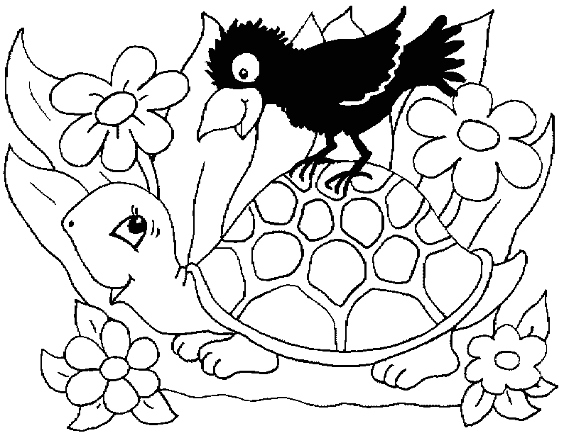 Animal Coloring Free Printable Turtle Coloring Pages For Kids 