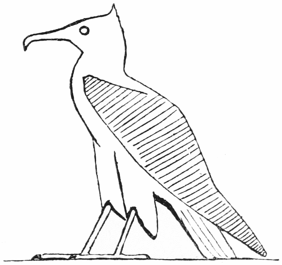 The Project Gutenberg eBook of Egyptian Birds, by Charles Whymper.