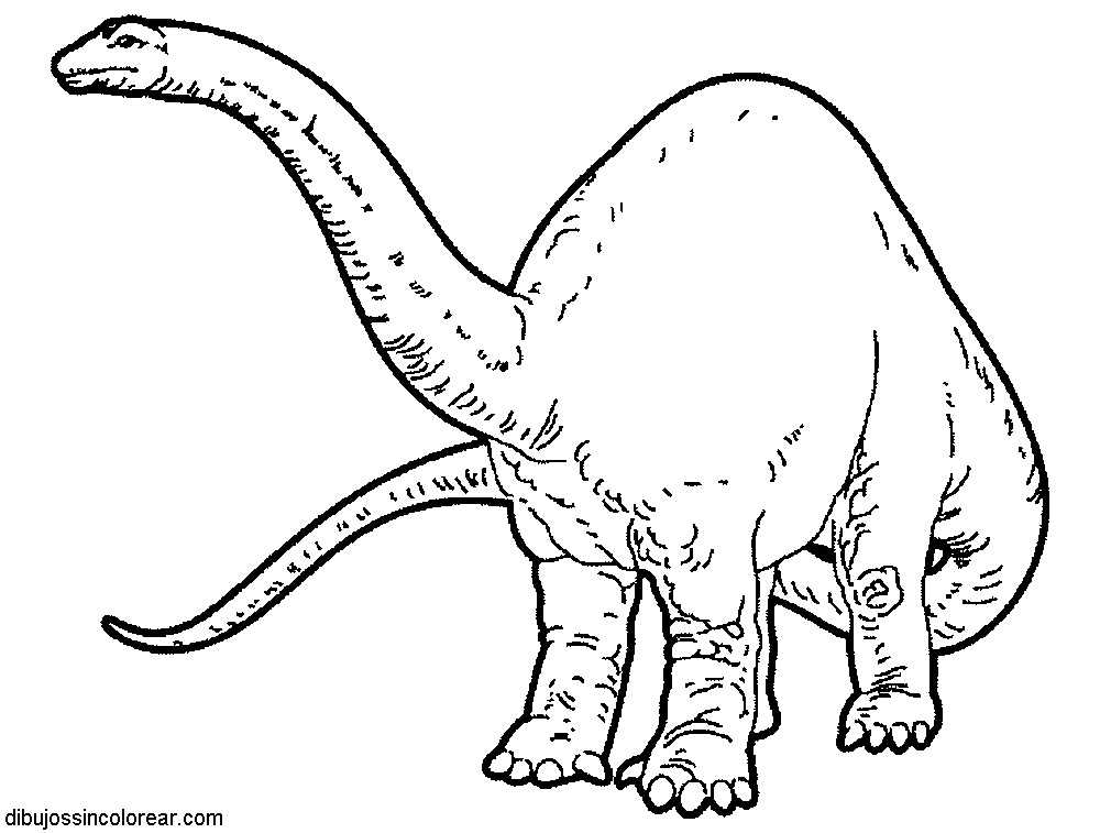 Dibujos Sin Colorear: Dibujos de Dinosaurios para Colorear