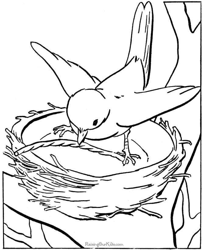 Free Coloring Pages Of Birds - Free Printable Coloring Pages 