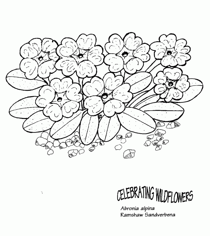 Wildflower Coloring Pages | Online Coloring Pages
