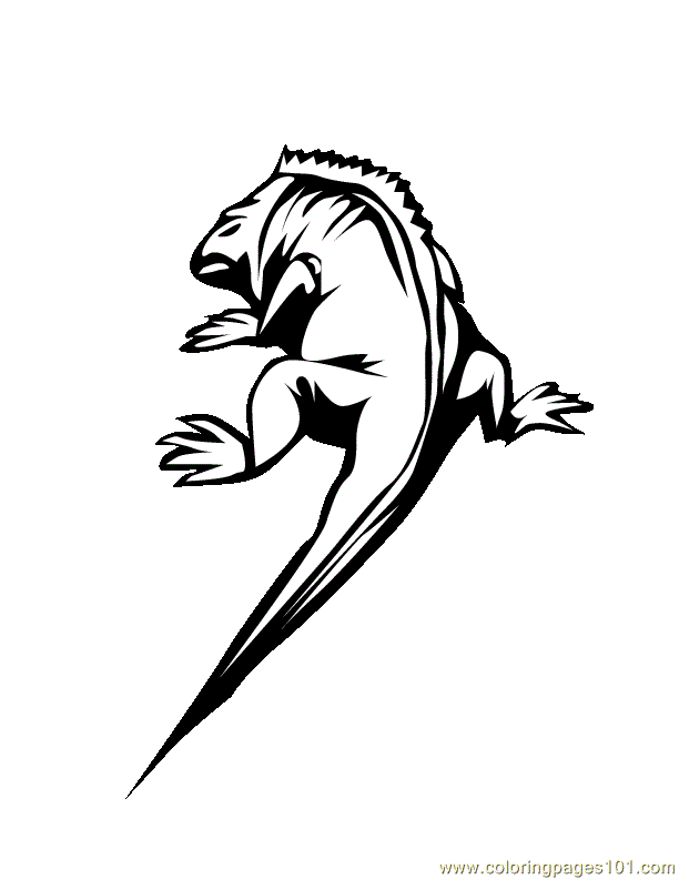 Coloring Pages goanna (Reptile > Lizard) - free printable coloring 