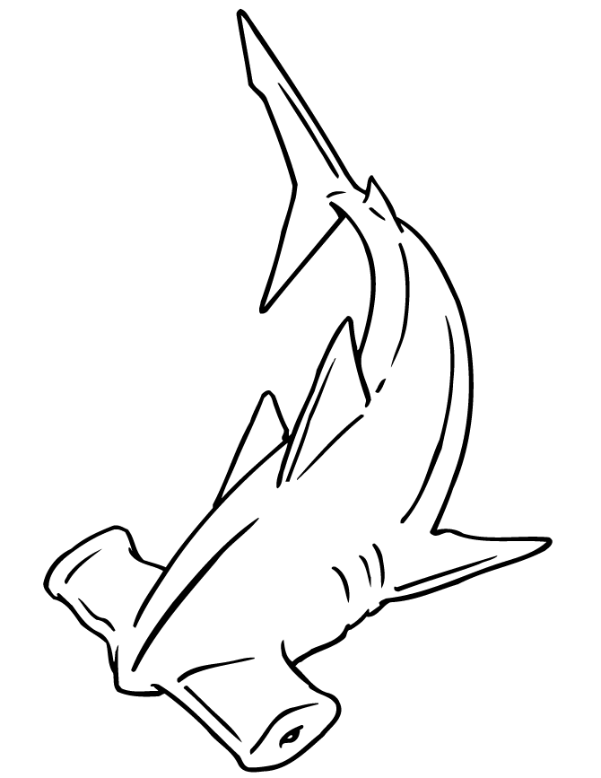 Hammerhead Shark Coloring Page | HM Coloring Pages