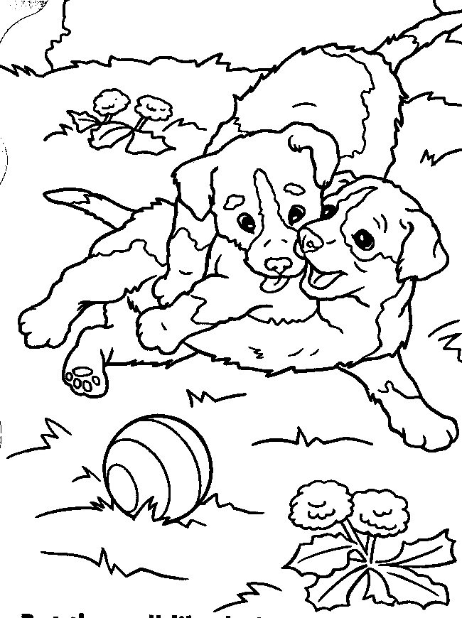 Puppies Coloring Pages | Free coloring pages