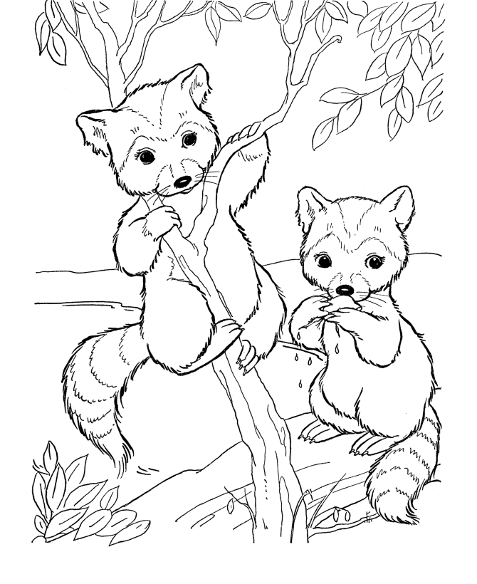 Free Colouring Pages Jungle Animals 2014 | StickyPictures