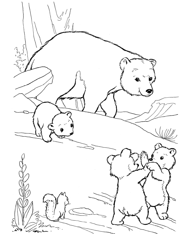 Wild Animal Coloring Pages | Playful bear cubs Coloring Page and 