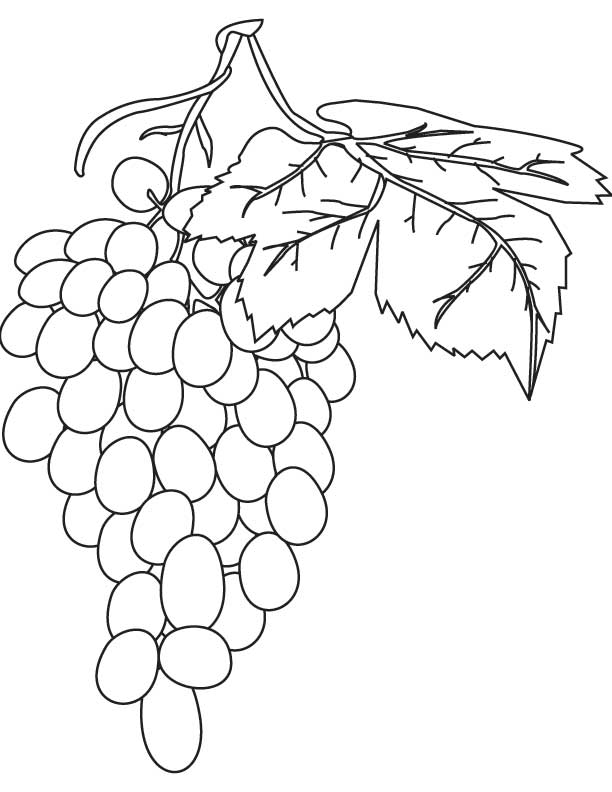 foxes and grapes Colouring Pages