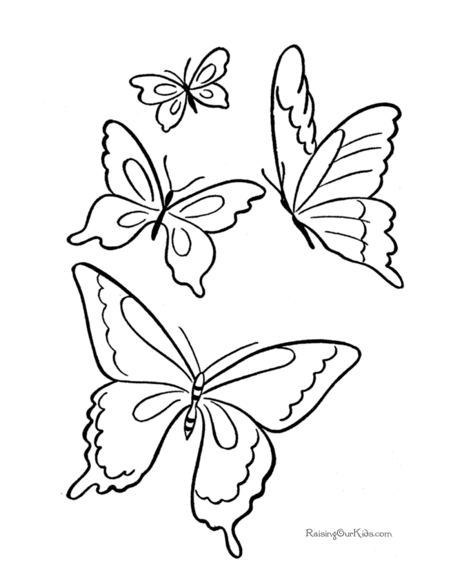 Coloring pictures of butterflies