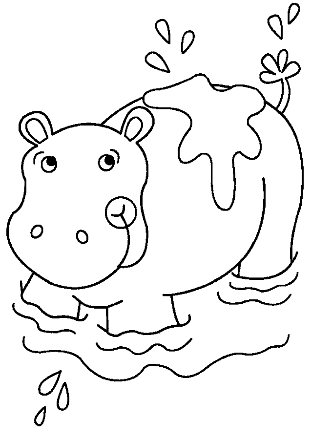 Hippopotamus coloring pages