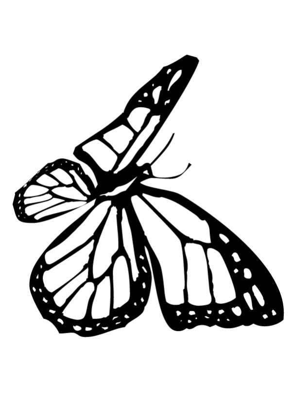 Printable monarch butterfly coloring page mycrws.
