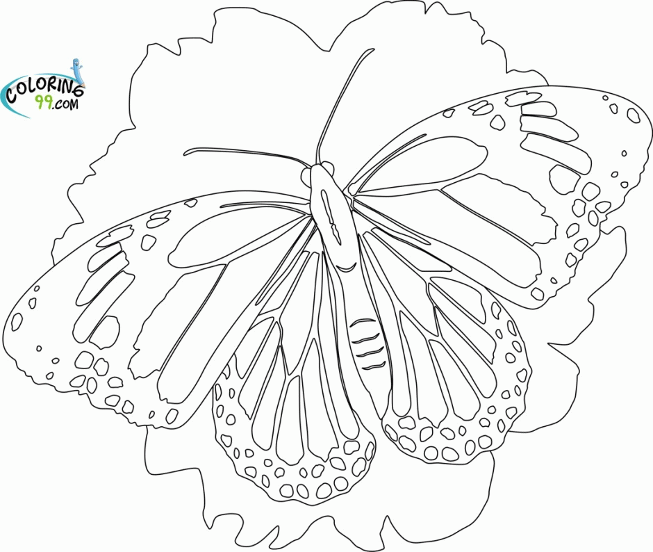 Coloring Pages For Boys Bing Images Coloring Pages Pinterest 