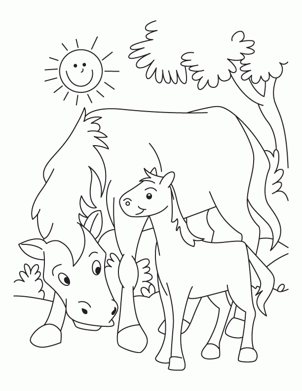 Horse and Colt coloring pages | Download Free Horse and Colt 