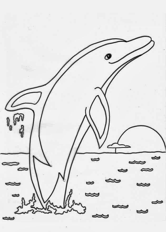 Coloring pictures of dolphins
