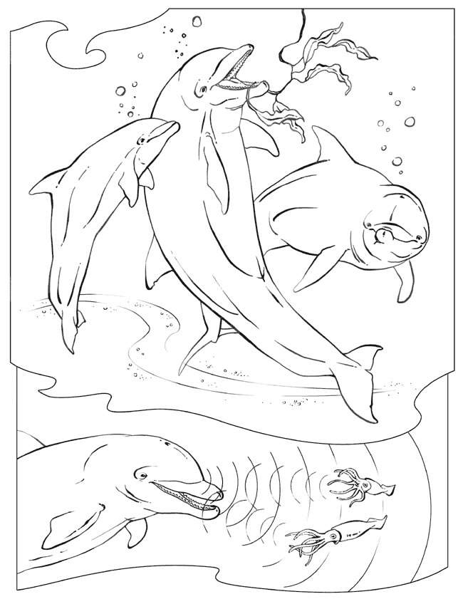 Ocean Coloring Pages For Kids Free Printable Coloring Pages 2014 