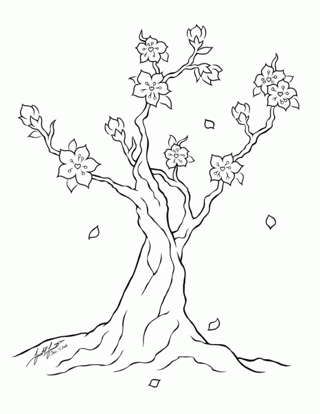 Blossom Coloring Pages Printable Cherry Blossom Coloring Pages 