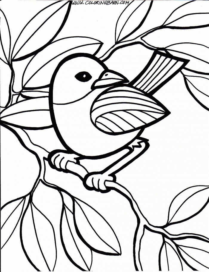 Blue Bird Coloring Page | 99coloring.com